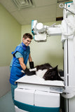 Veterinary Clinic Xray Curtains